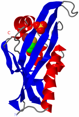 Image Asymmetric Unit