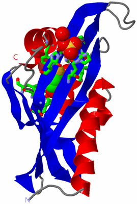 Image Asym. Unit - sites