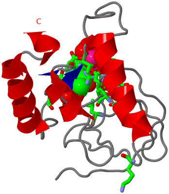 Image Asym./Biol. Unit - sites