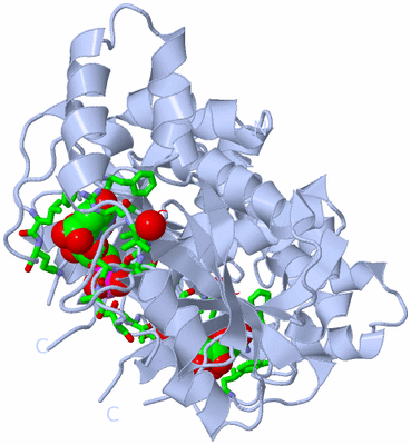 Image Biol. Unit 1 - sites