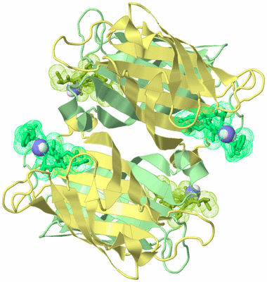 Image Biological Unit 1