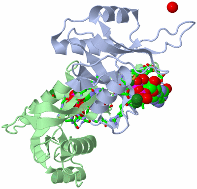 Image Asym./Biol. Unit - sites