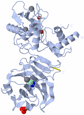 Image Biological Unit 1