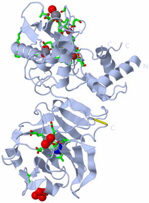 Image Biol. Unit 1 - sites