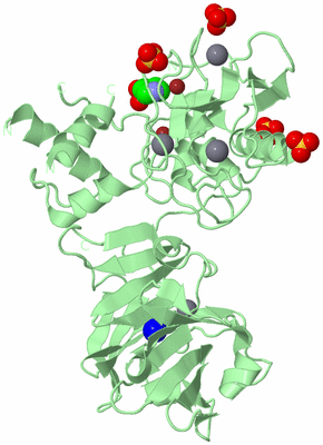 Image Biological Unit 2