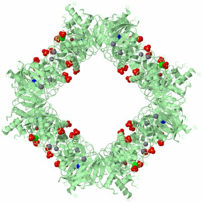 Image Biological Unit 3