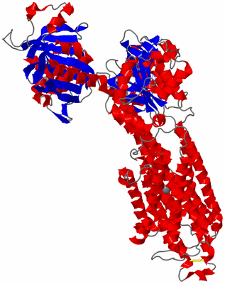 Image Asym./Biol. Unit