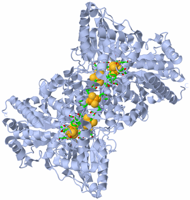 Image Biol. Unit 1 - sites