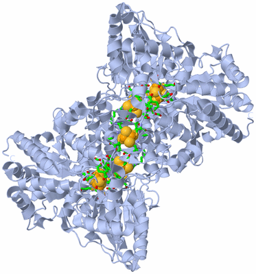 Image Biol. Unit 1 - sites