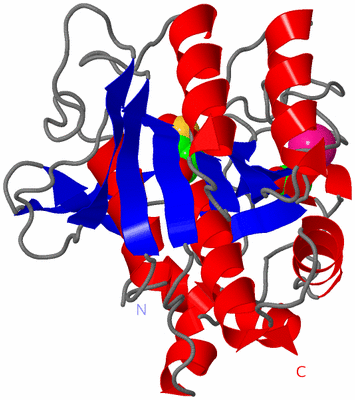 Image Asym./Biol. Unit