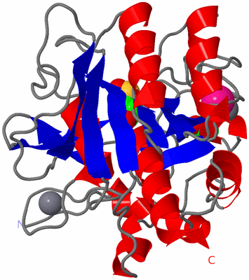 Image Asym./Biol. Unit