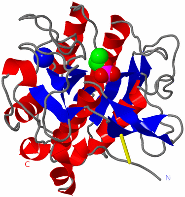 Image Asym./Biol. Unit