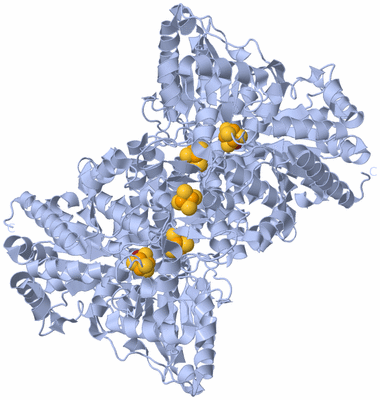 Image Biological Unit 1