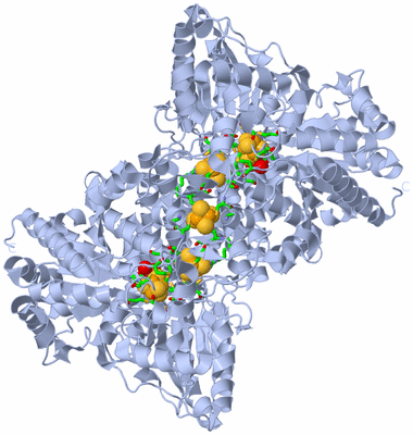 Image Biol. Unit 1 - sites