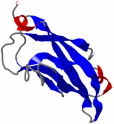 Image NMR Structure - model 1