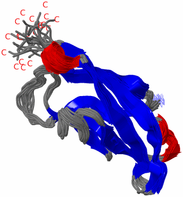 Image NMR Structure - all models