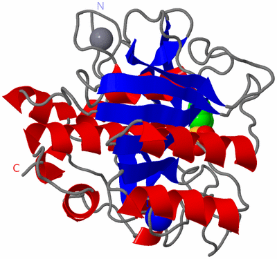 Image Asym./Biol. Unit