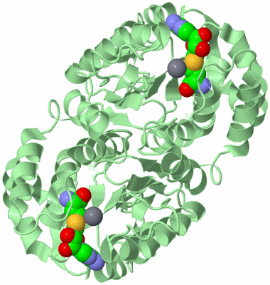 Image Biological Unit 2