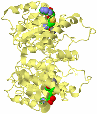 Image Biological Unit 3