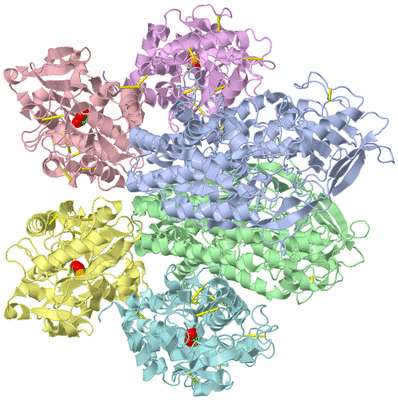 Image Asym./Biol. Unit