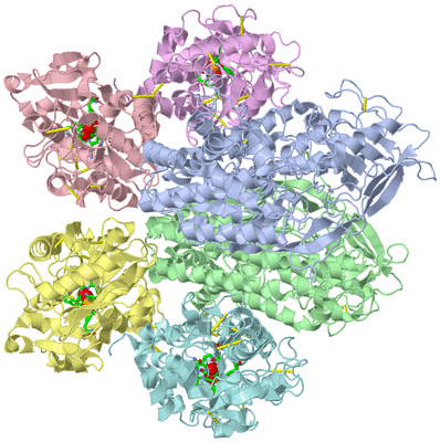 Image Asym./Biol. Unit - sites