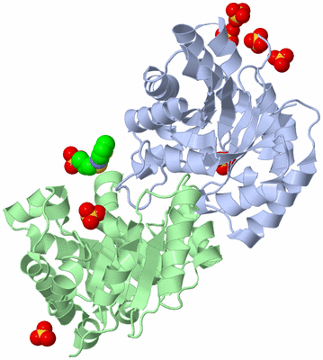Image Asym./Biol. Unit