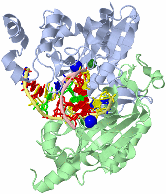 Image Asym./Biol. Unit
