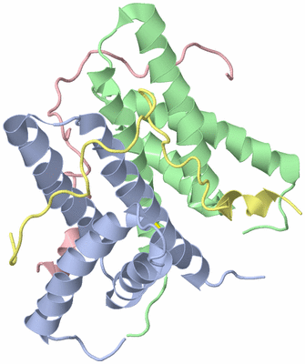 Image NMR Structure - model 1