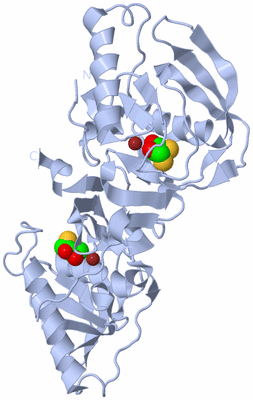 Image Biological Unit 1