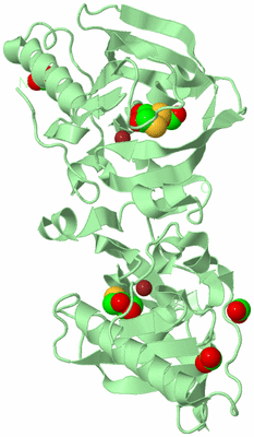 Image Biological Unit 2