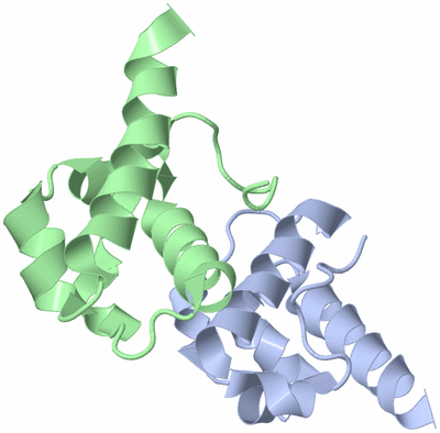 Image Asymmetric Unit