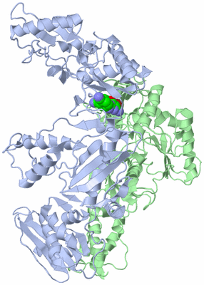 Image Asym./Biol. Unit