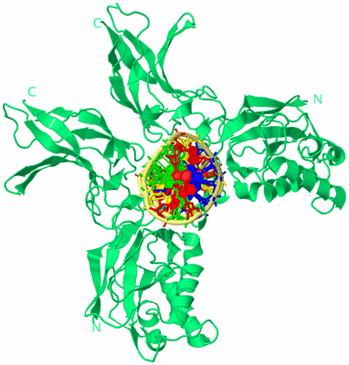 Image Biological Unit 1