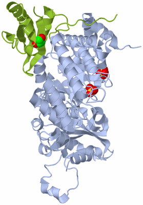 Image Biological Unit 1