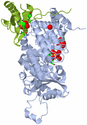 Image Biol. Unit 1 - sites