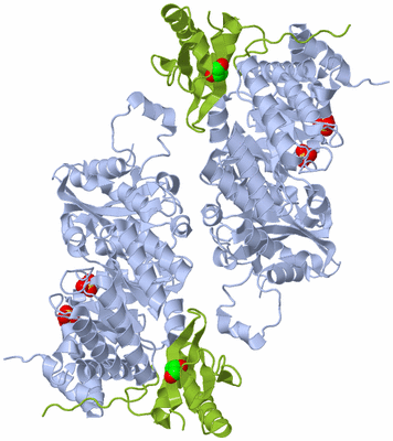 Image Biological Unit 4