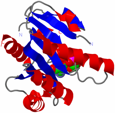 Image Asym./Biol. Unit