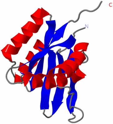 Image NMR Structure - model 1