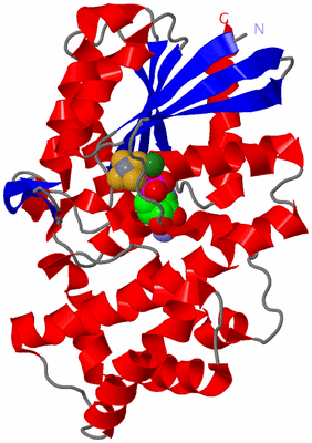 Image Asym./Biol. Unit