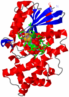 Image Asym./Biol. Unit - sites