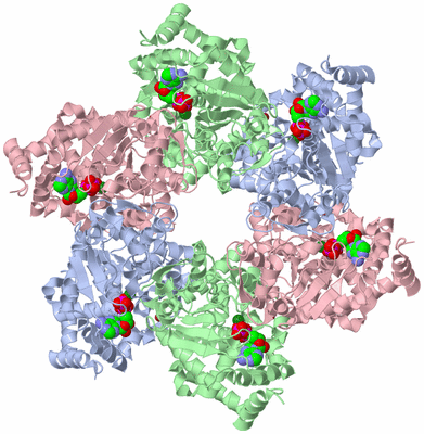 Image Biological Unit 1