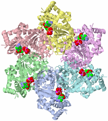 Image Asym./Biol. Unit