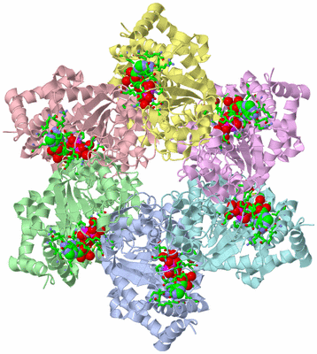 Image Asym./Biol. Unit - sites