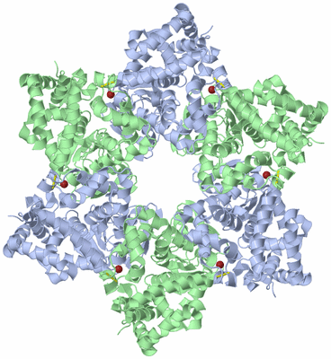 Image Biological Unit 1