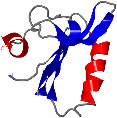 Image NMR Structure - model 1