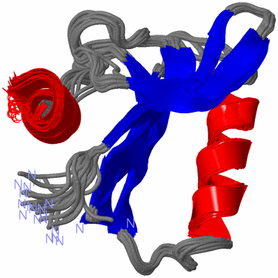 Image NMR Structure - all models