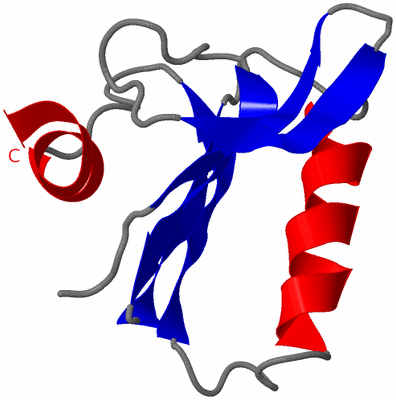 Image NMR Structure - model 1