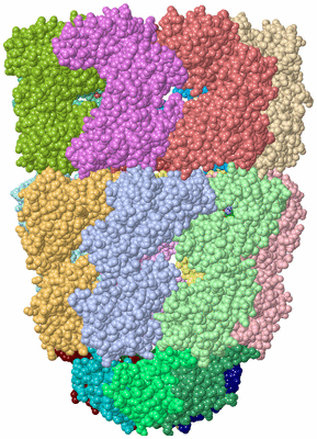 Image Asym./Biol. Unit