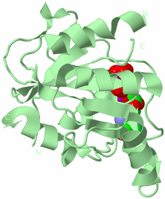 Image Biological Unit 2