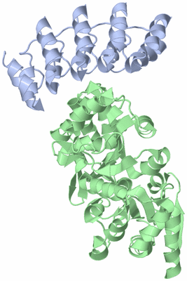 Image Asym./Biol. Unit